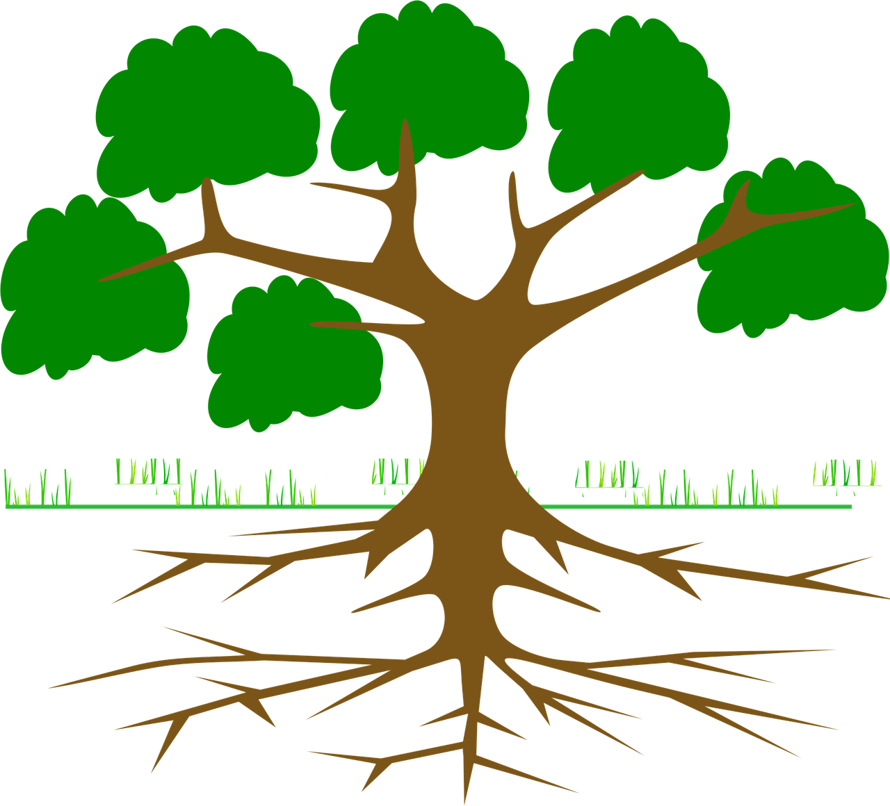 tree-309046_1280.webp