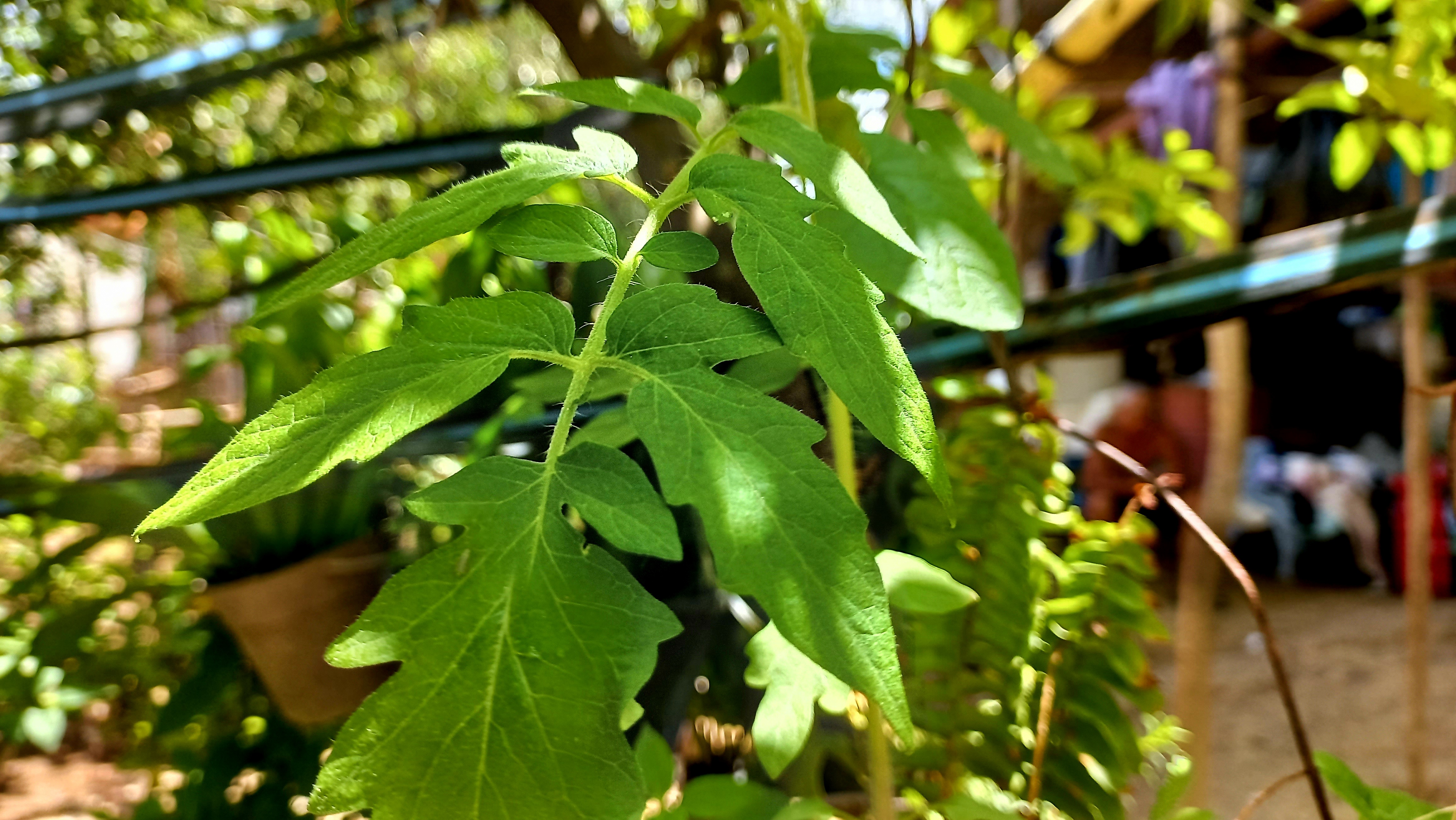20250524_115355.jpg