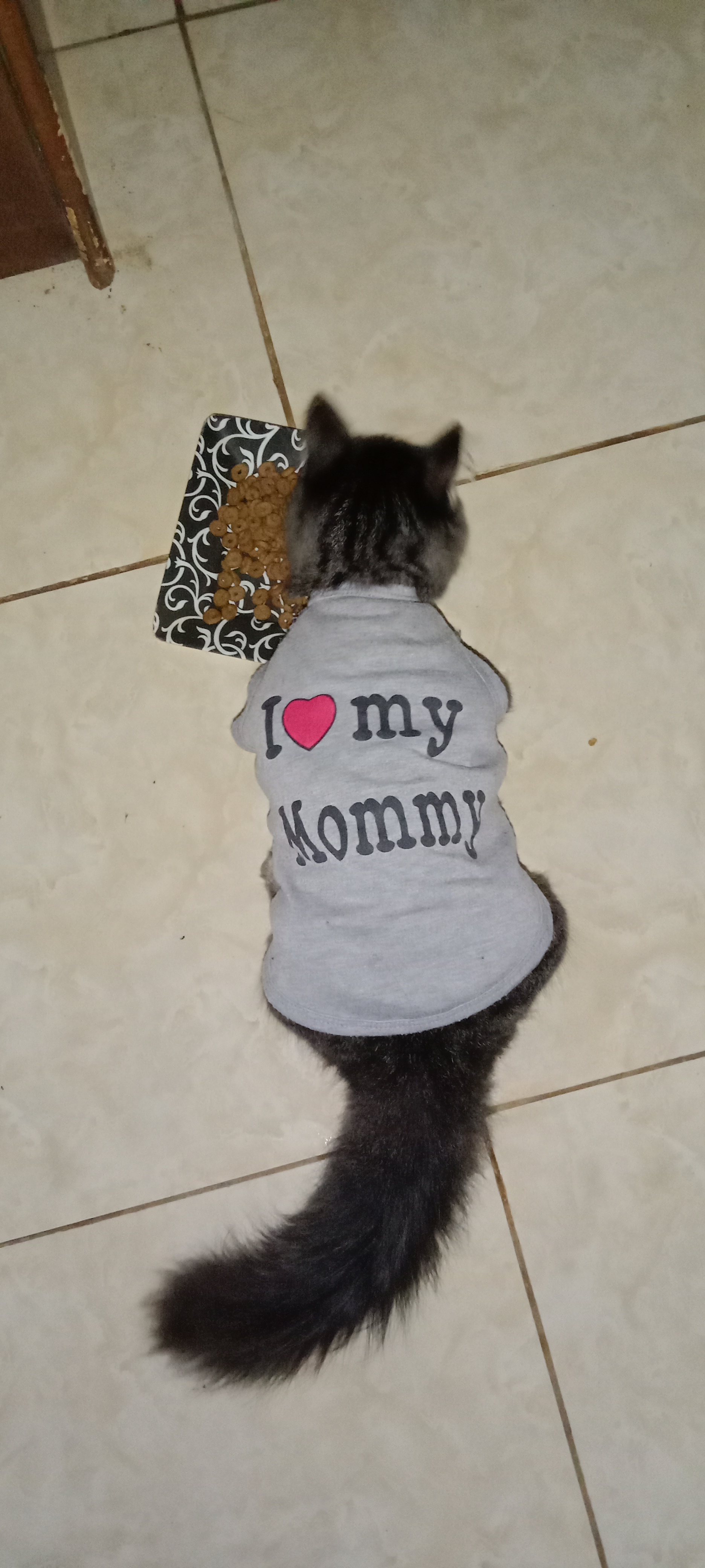 IMG_20220122_110525.jpg