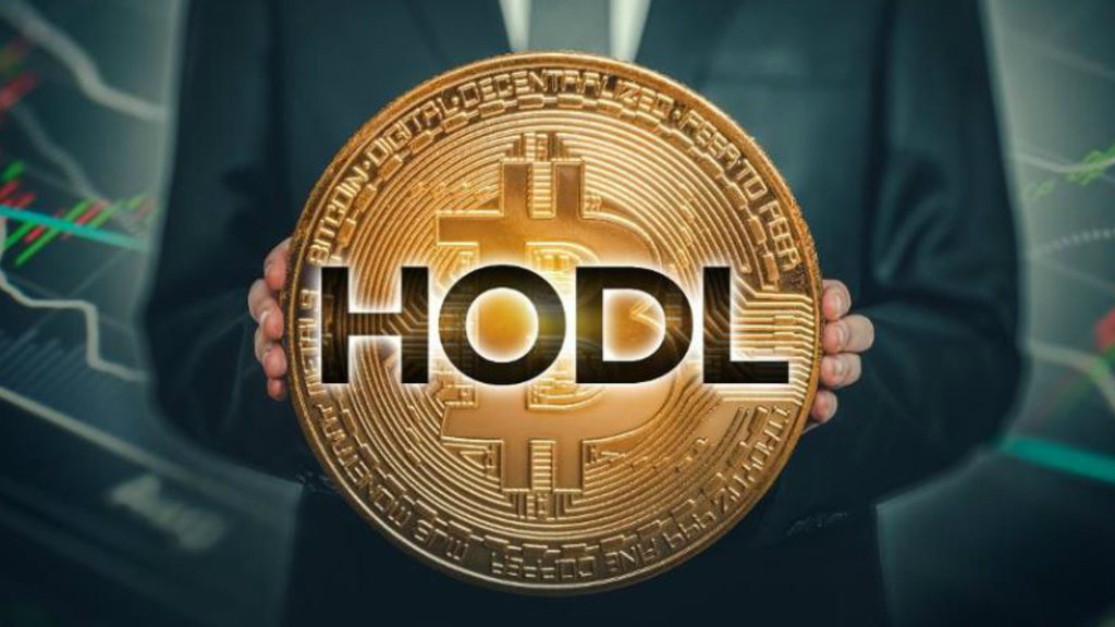 hodl.jpg