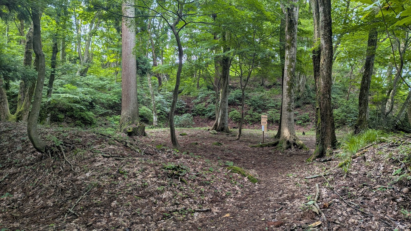 PXL_20260703_232046739.jpg