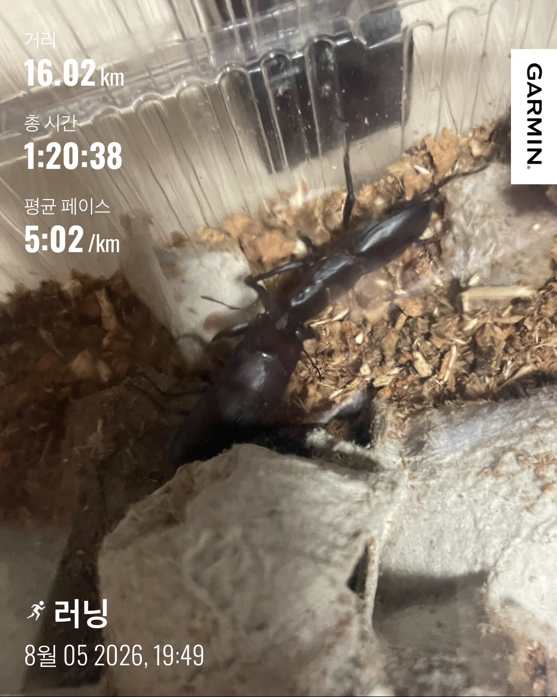 KakaoTalk_20260806_073607935.jpg
