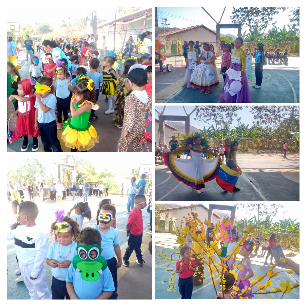 IMG_20260219_160146-COLLAGE.jpg