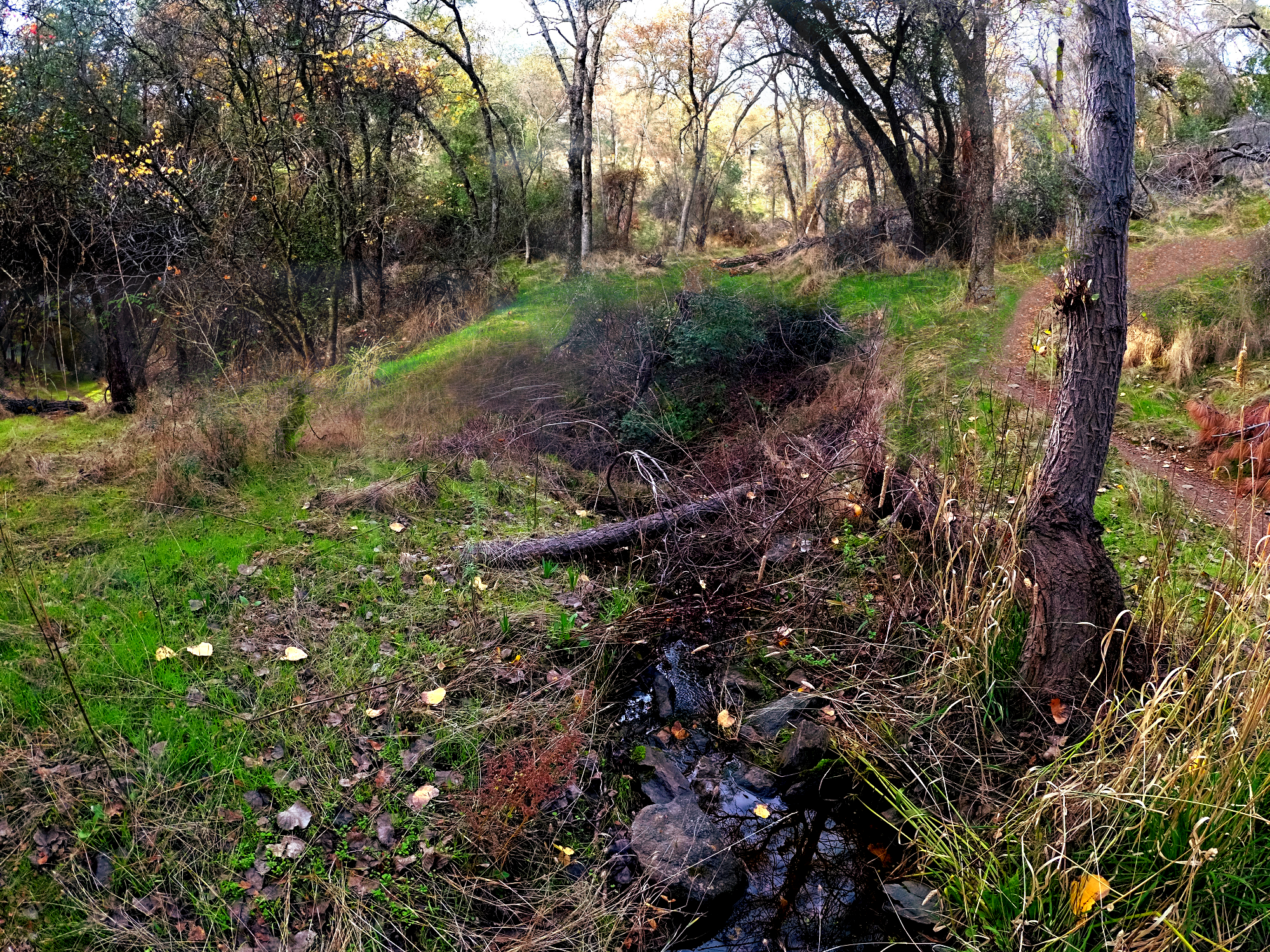 YIAC0449-walking-trails-paths-of-memory-#325.png