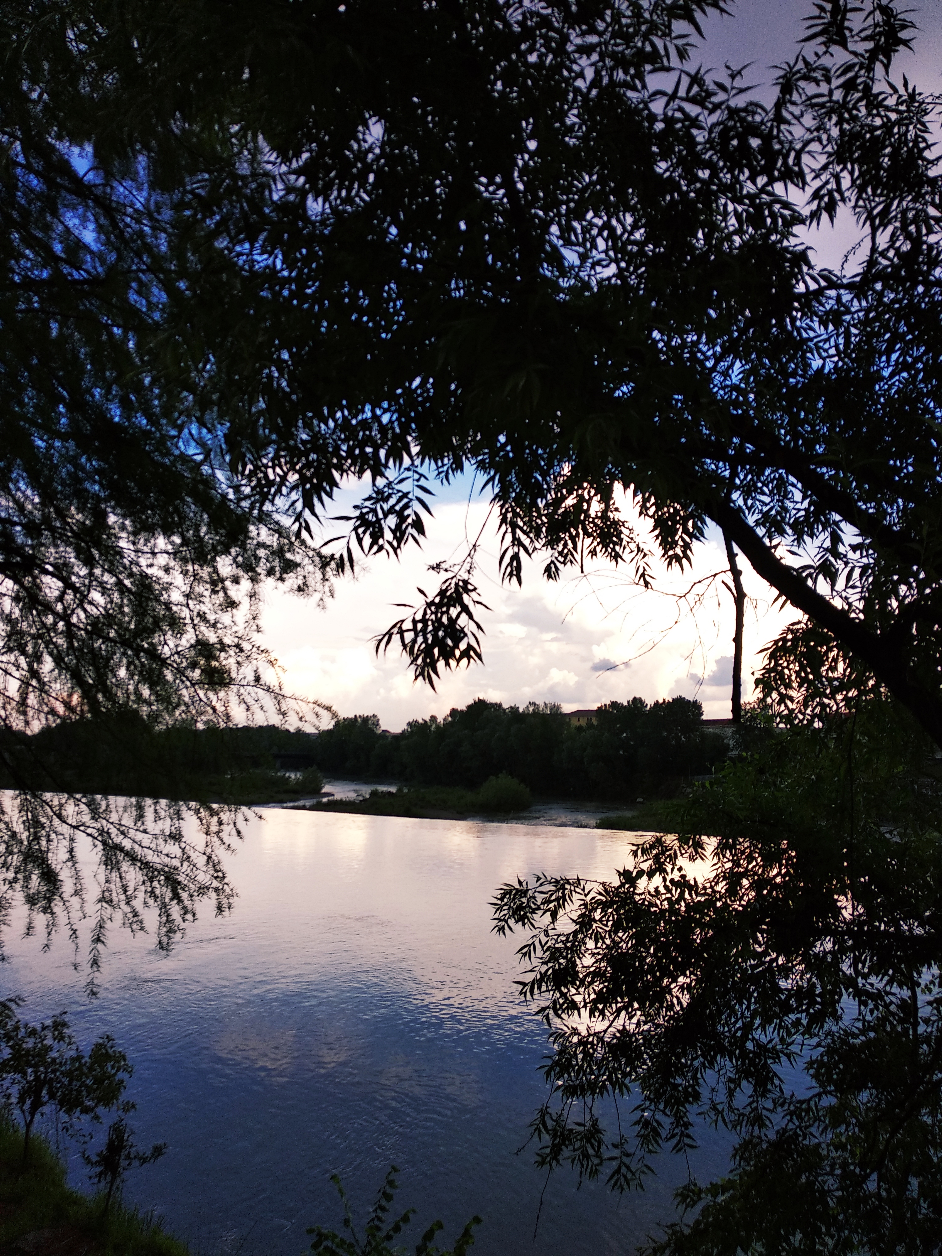 IMG_20210608_184609 (1).jpg