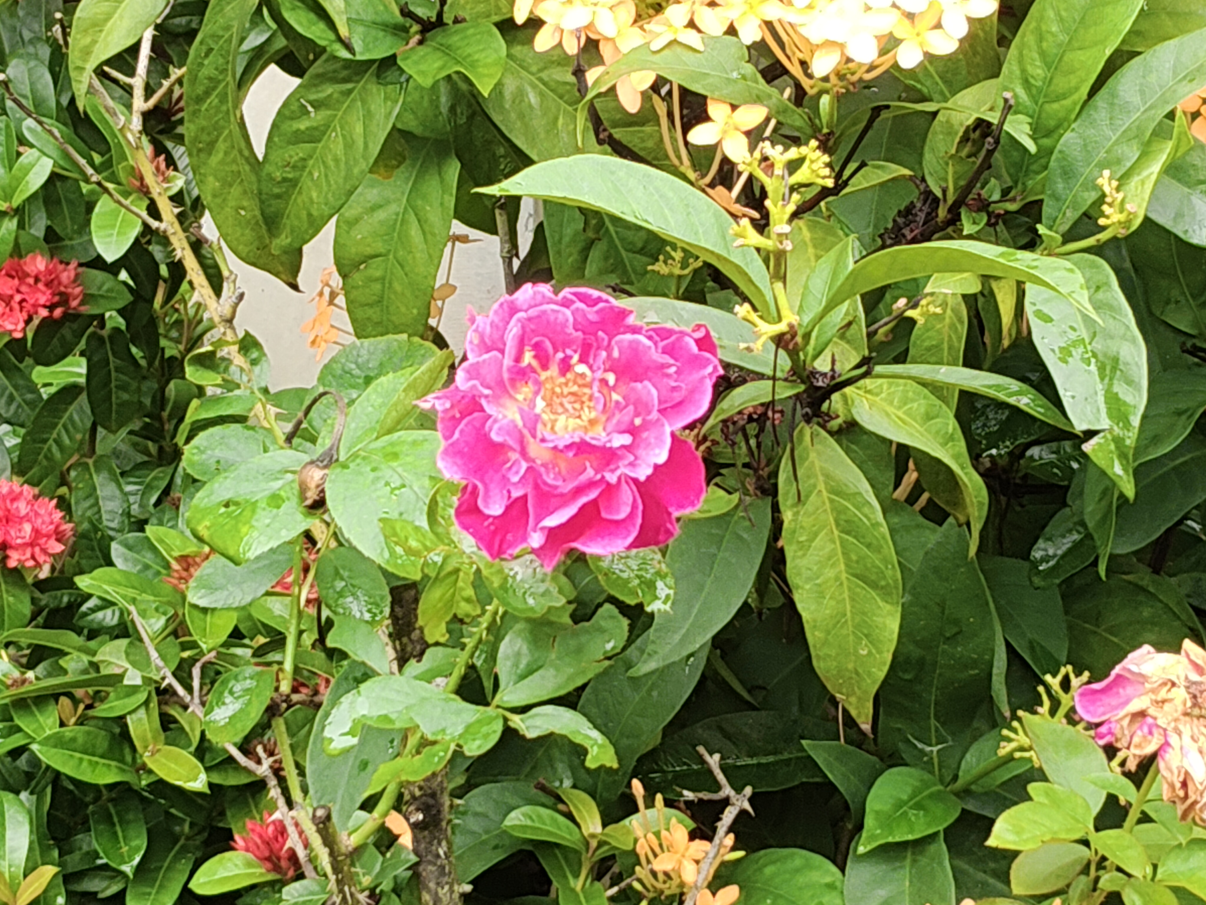 IMG20260728143553.jpg