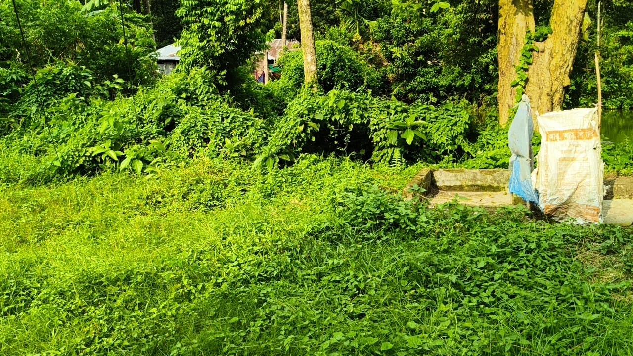 17002.jpg