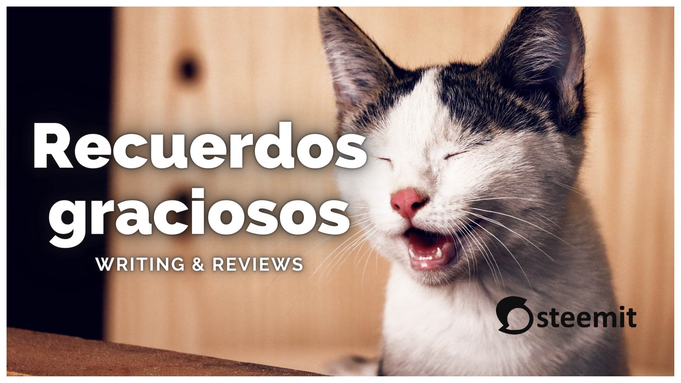 WRITING & REVIEWS (1).png