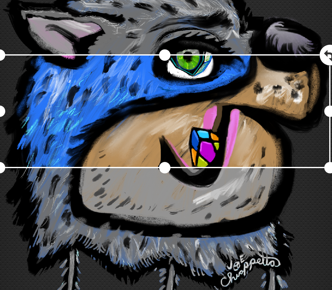 20190220_165148.png