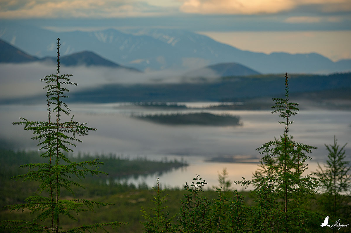 _MLR7108.jpg
