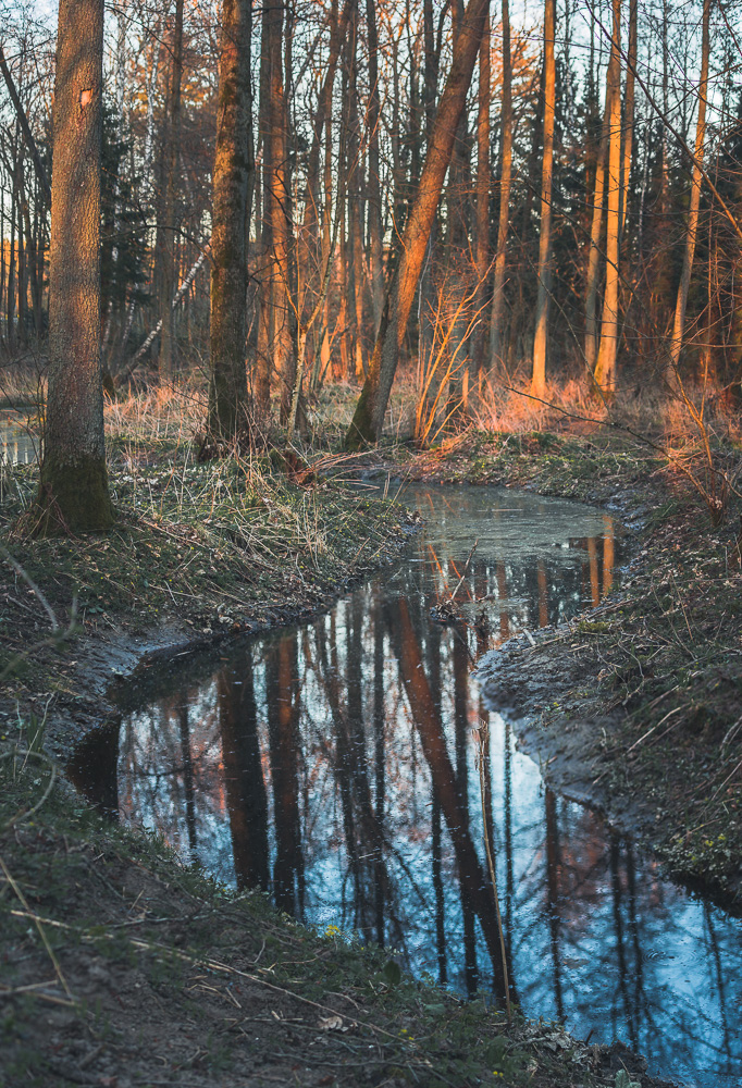 _MG_5185-Pano.jpg