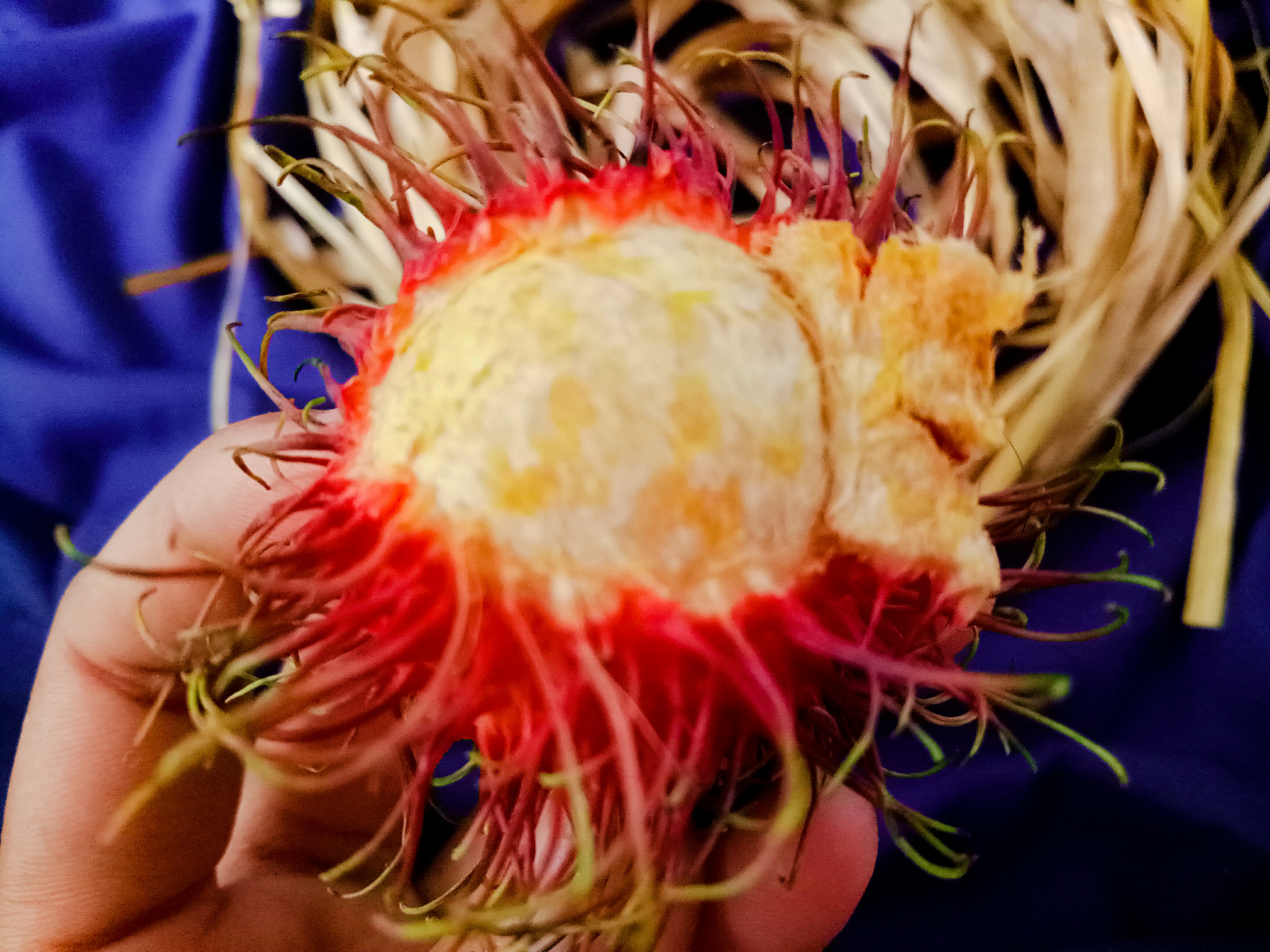 2019-08-10-21-57-33.jpg