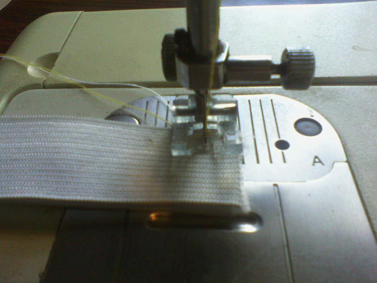 IMG00261.jpg