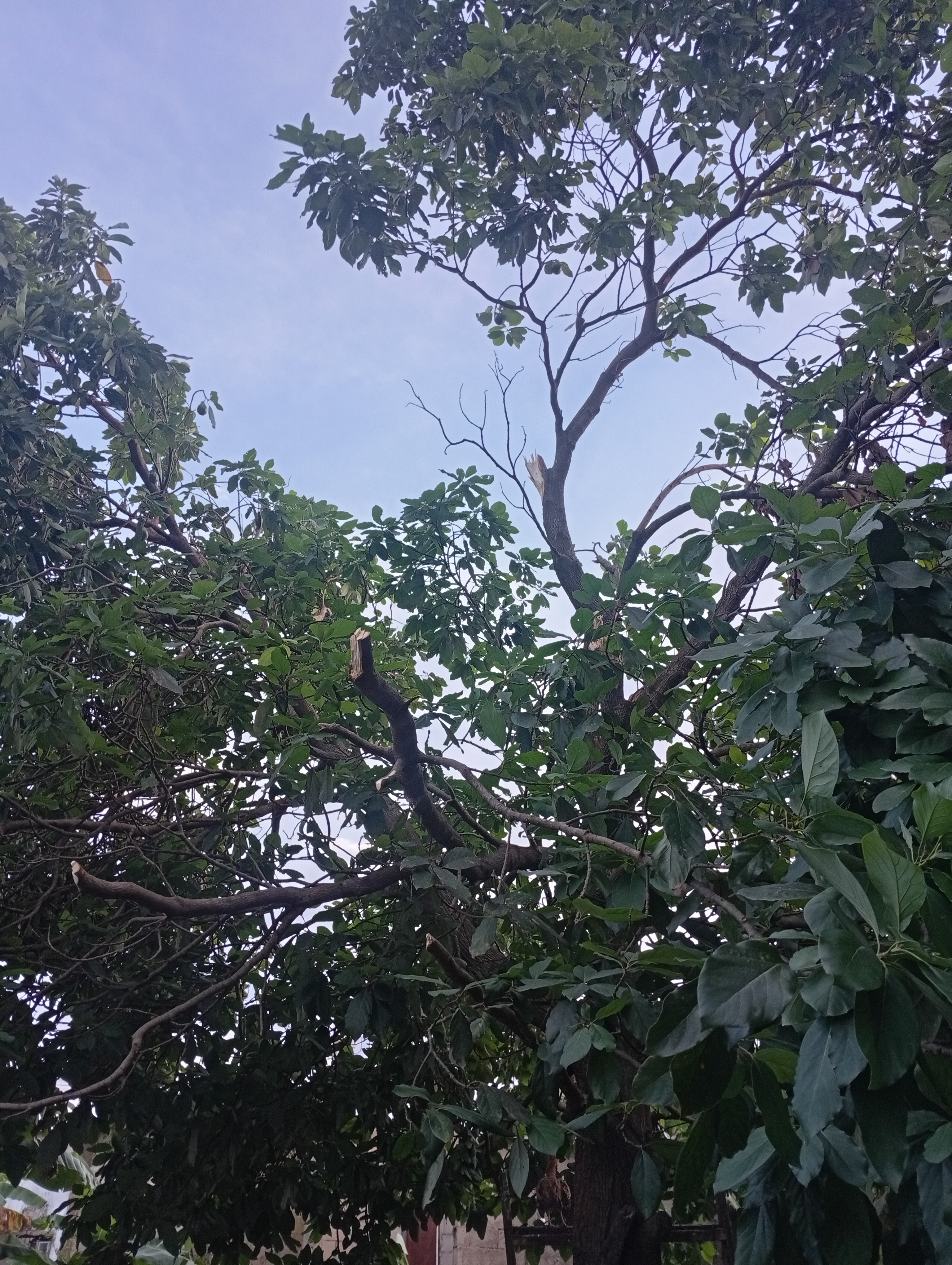 1000820778.jpg