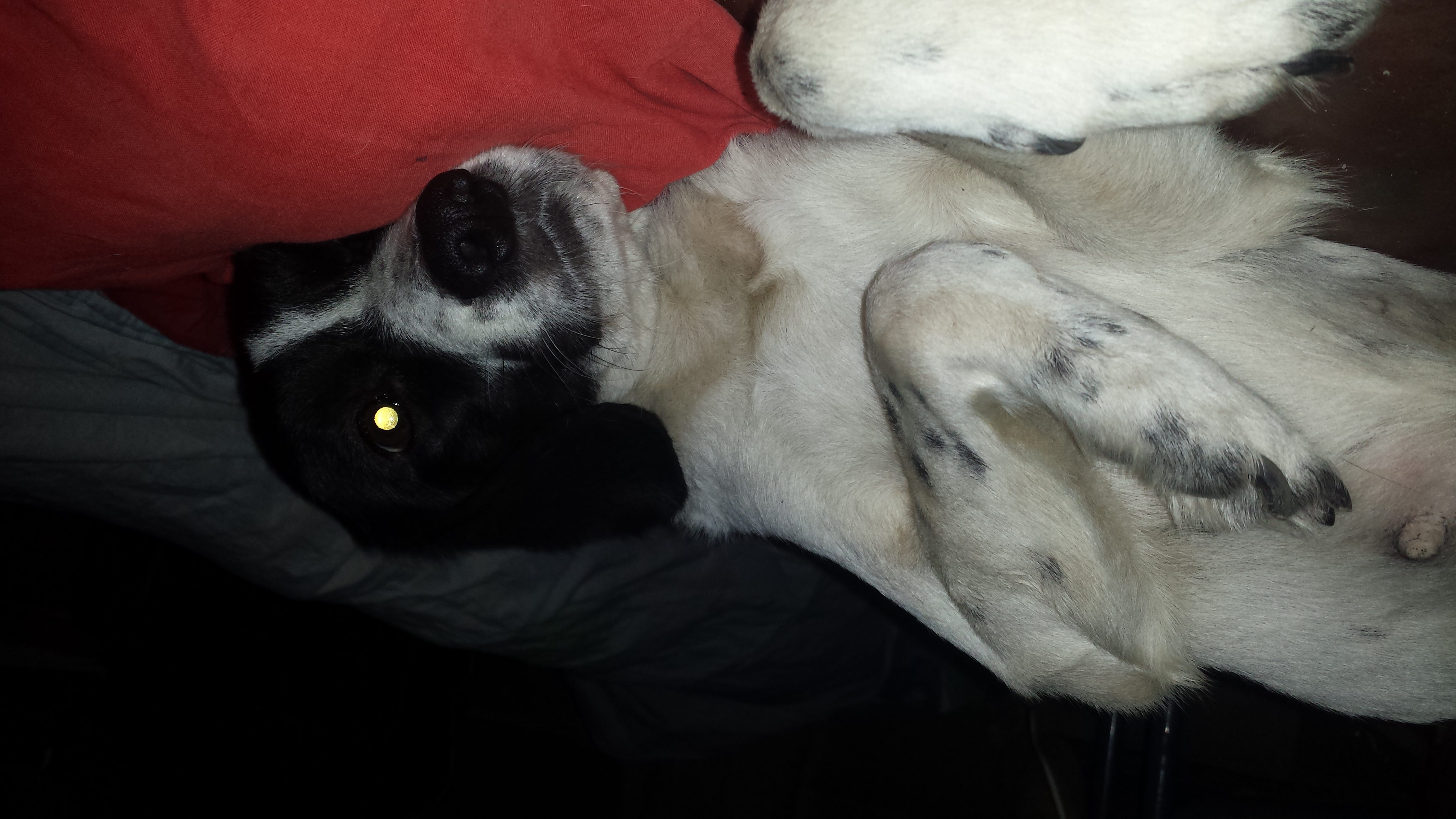 20200919_072007.jpg