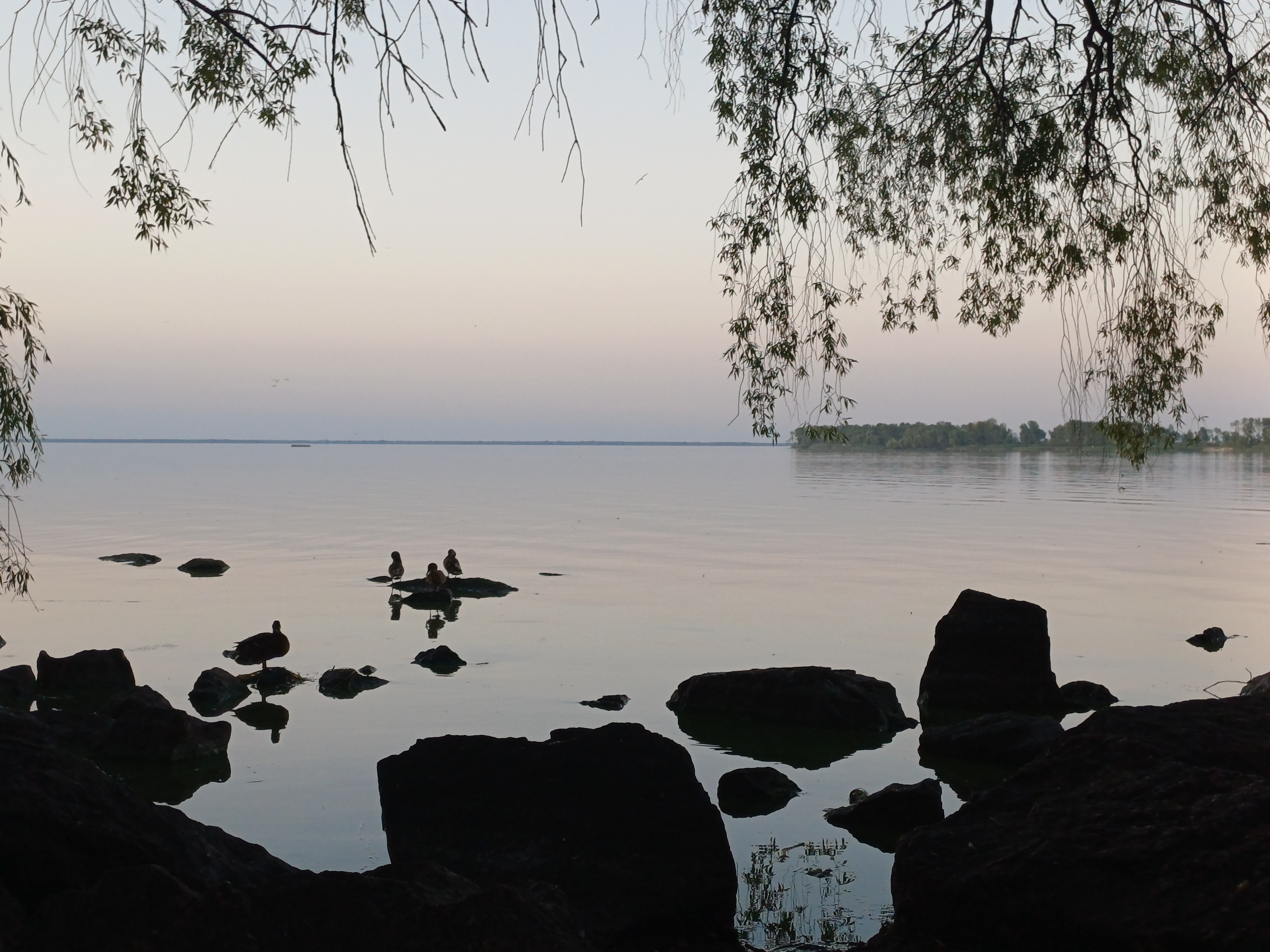 20260803_201923.jpg