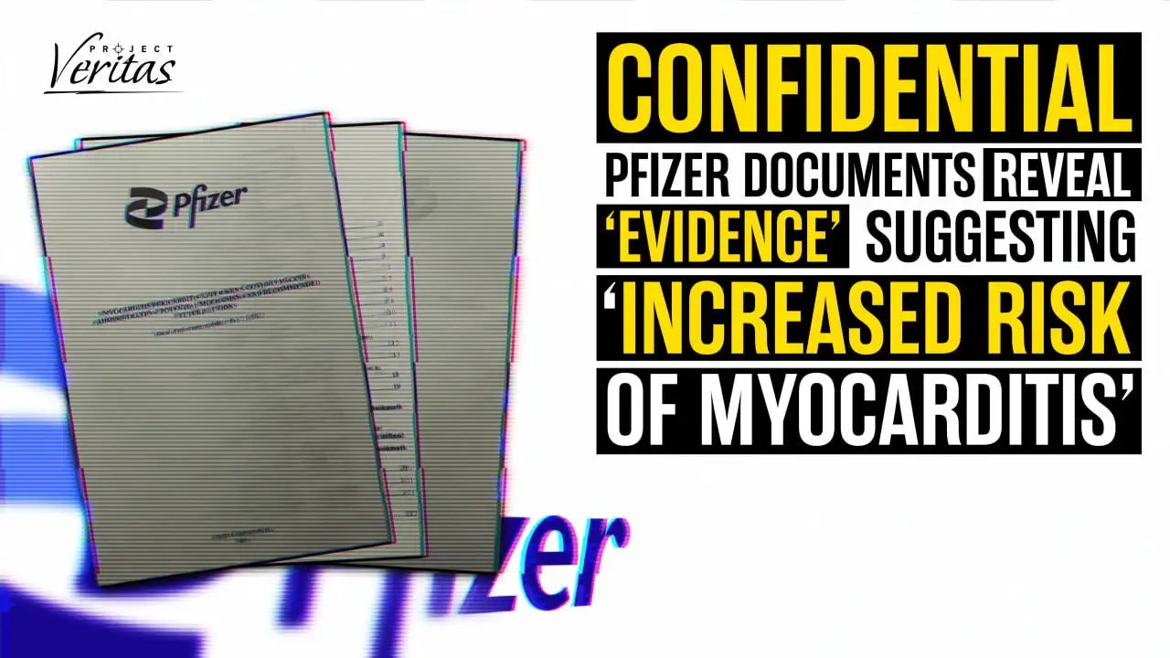 pfizer_thumbnew.webp