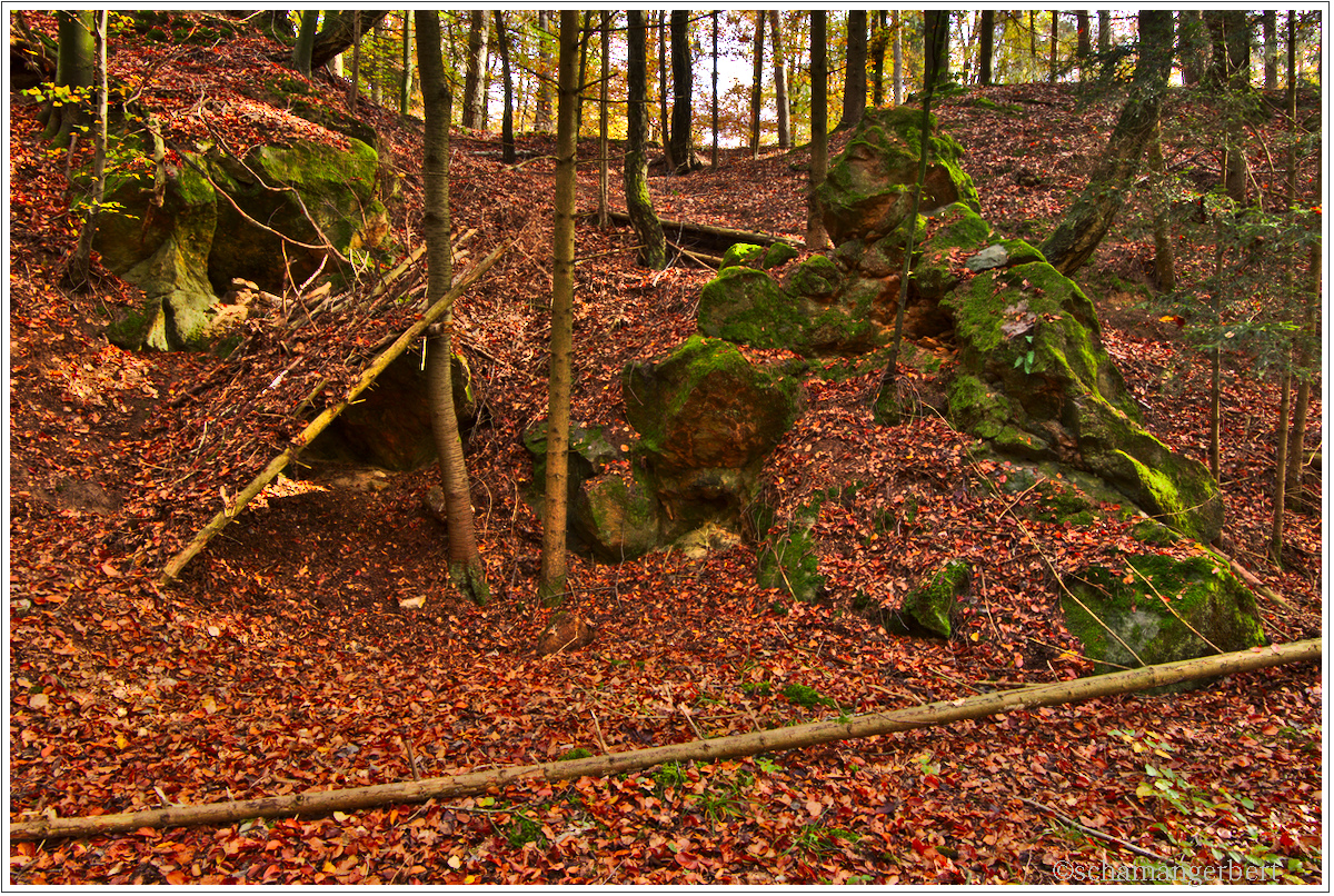 IMG_9462-hdr.jpg