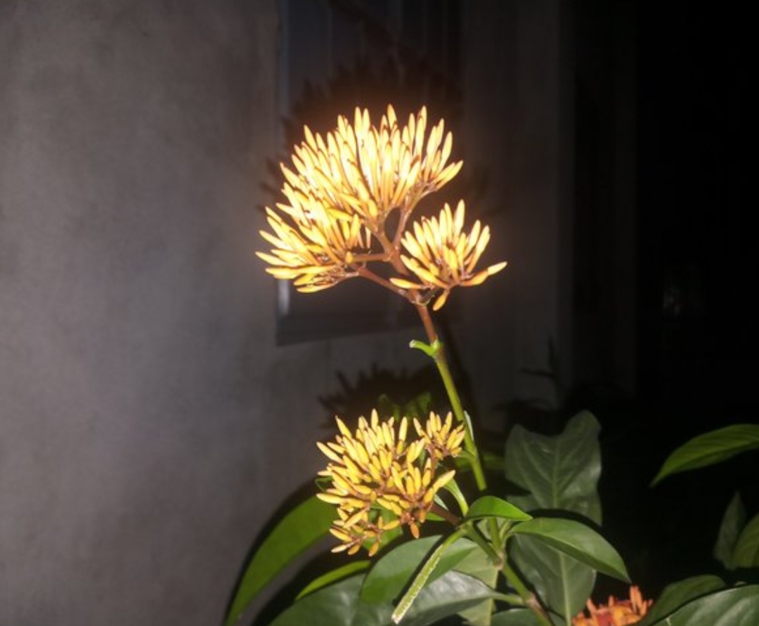 20191230_105943.jpg