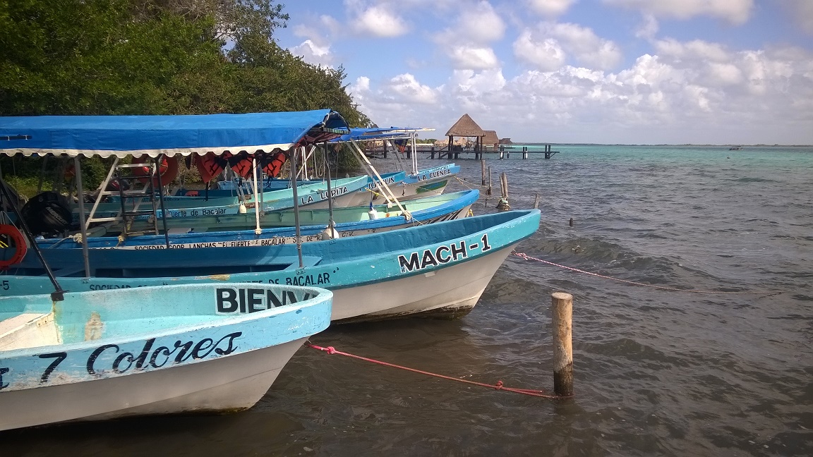 WP_20180212_008.jpg