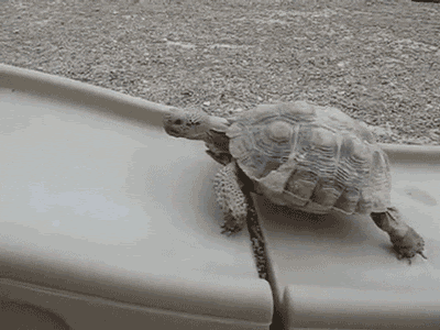 1245788.gif