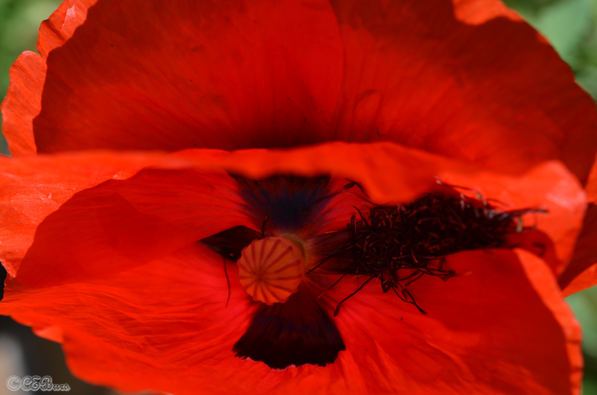 DSC_3309.JPG