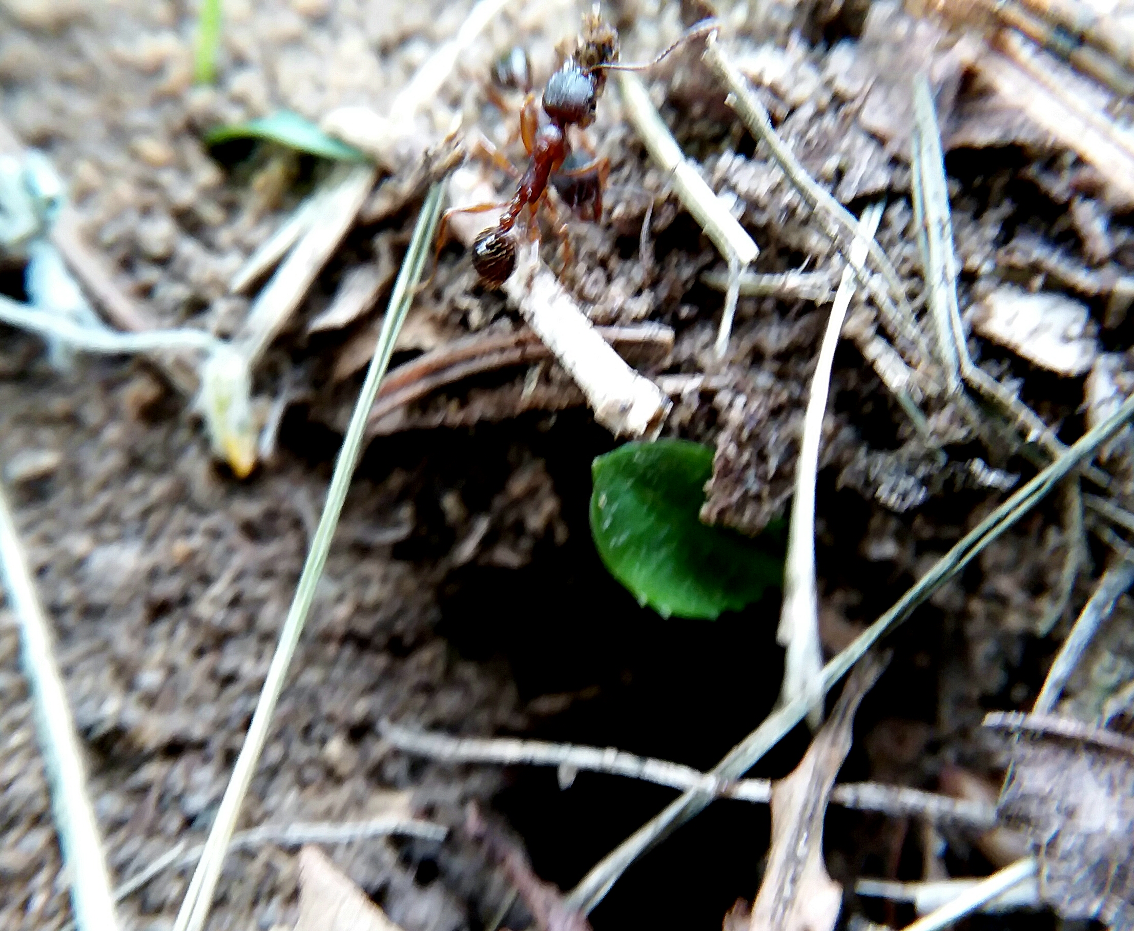 20190625_200249.jpg