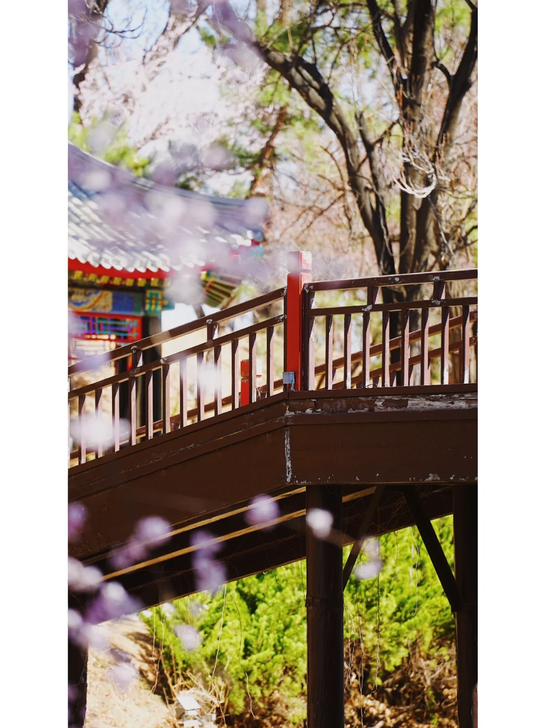 147.webp