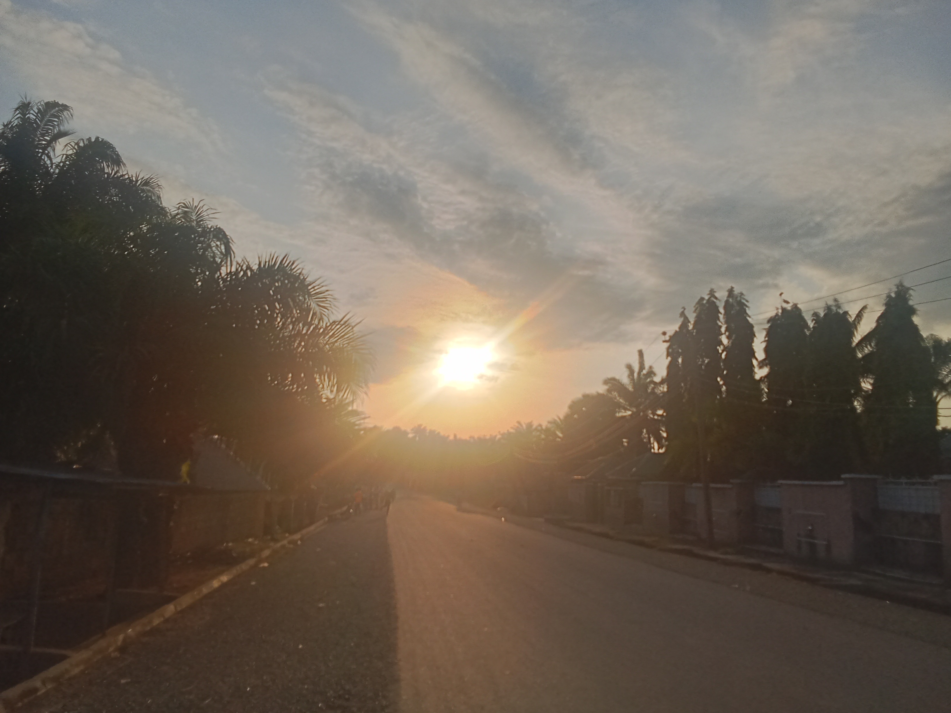 1000730372.jpg