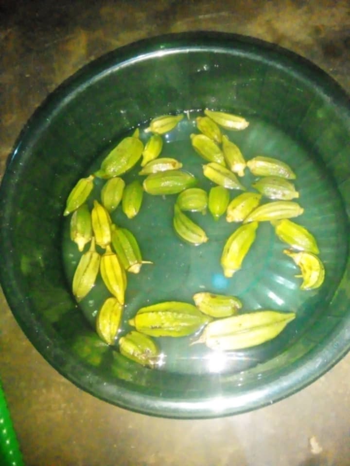 IMG-20260519-WA0236.jpg