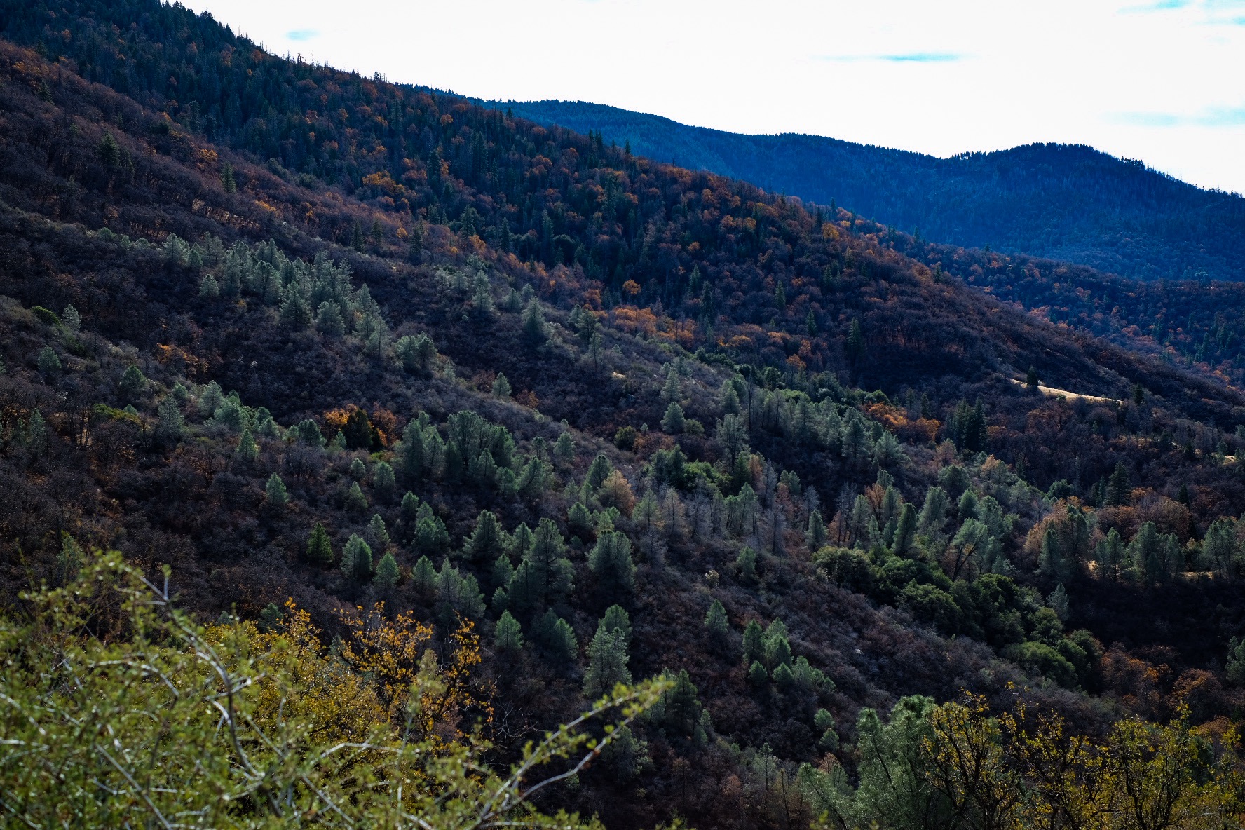 73644C9C-A275-4F19-B9B2-560EEA4D6D50.jpeg