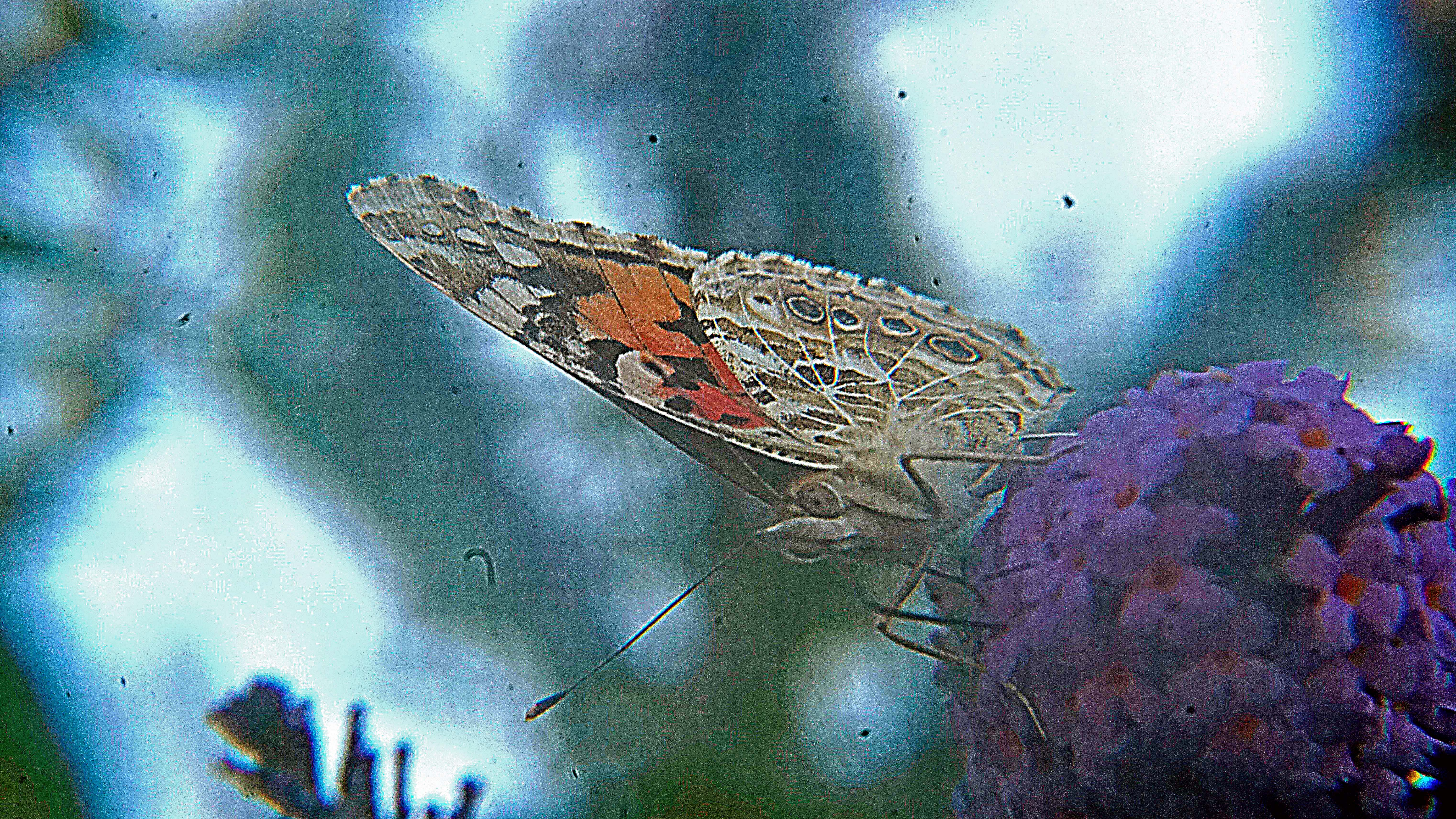 _DSC9853.jpg