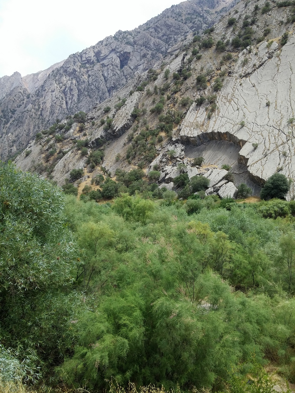 20150724_150146.jpg