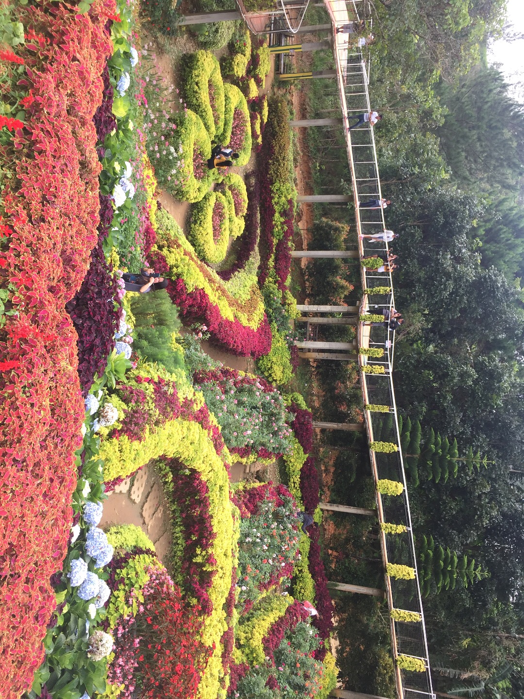 D3018608-3D29-4398-9BCC-8DB88776CD5B.jpeg