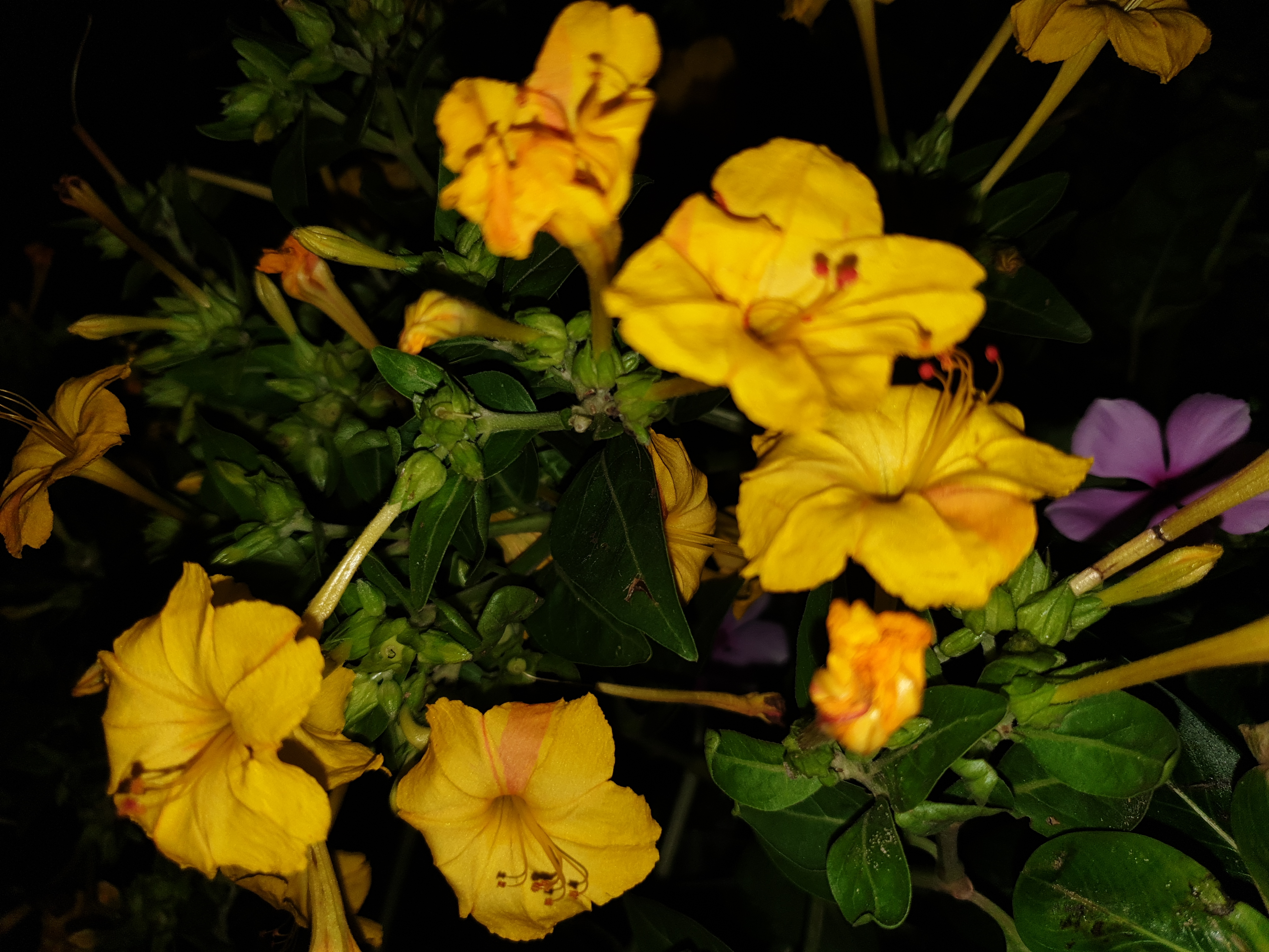 20220918_213909.jpg