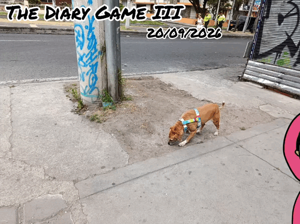 159340.gif