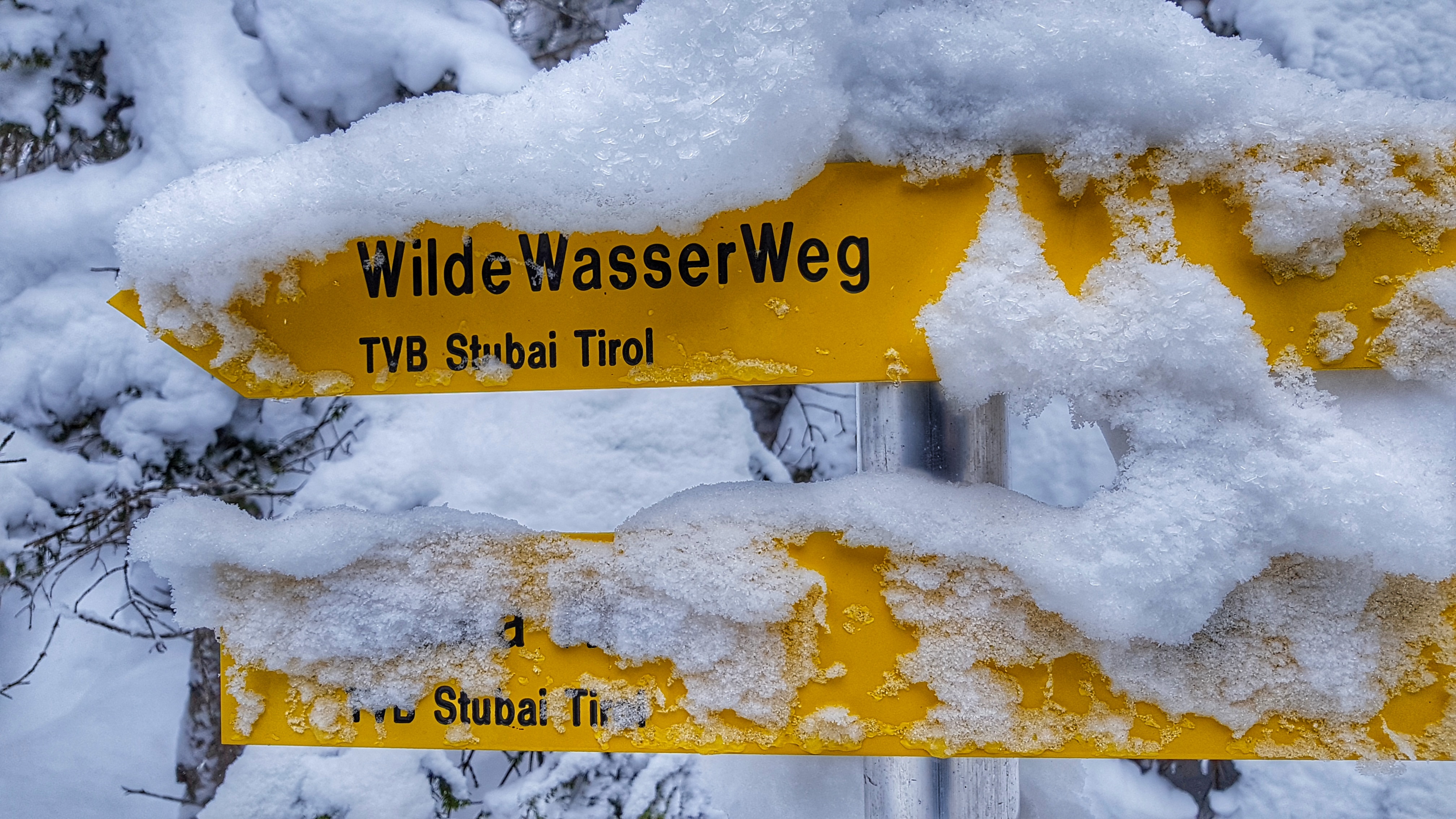 20190123_105805-01.jpeg