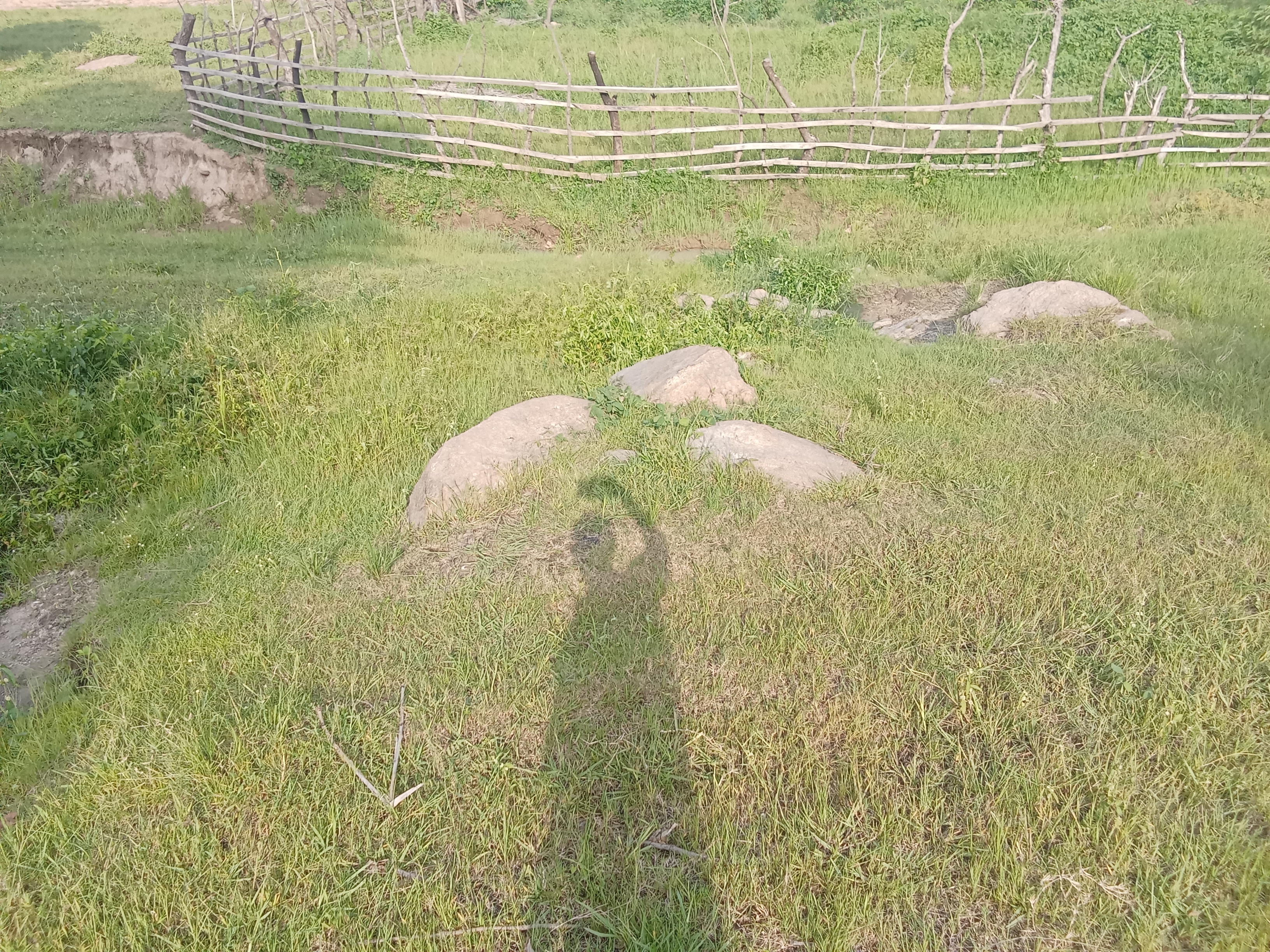 1000657309.jpg