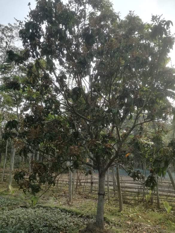 received_286534619569130.jpeg