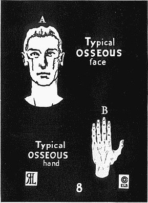 Osseous face.jpeg
