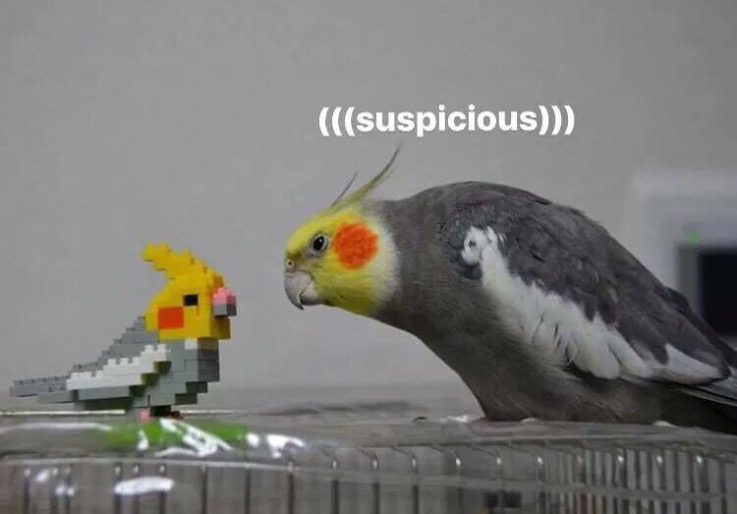 yikfgyi.jpg