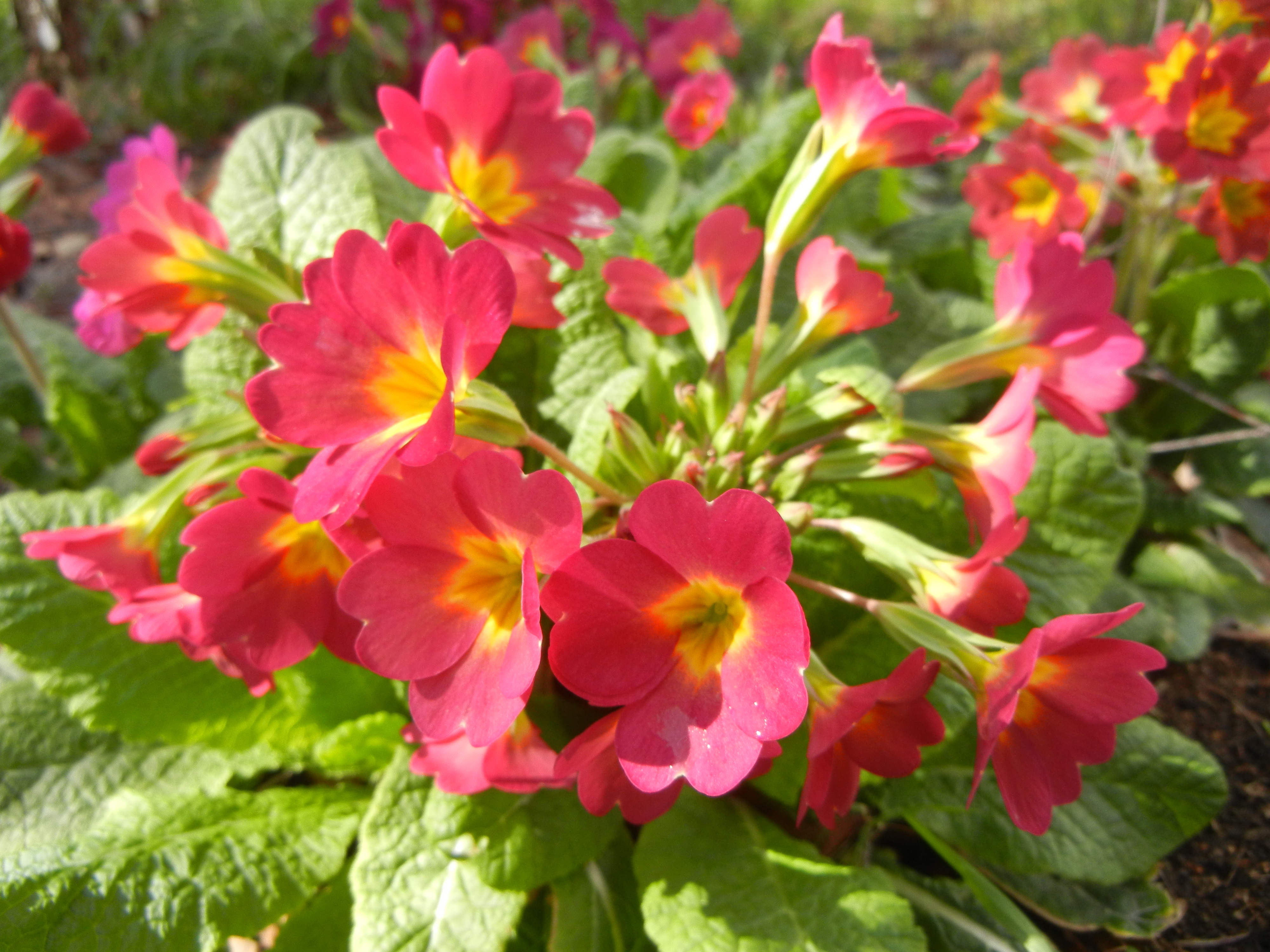 DSCN2087.JPG