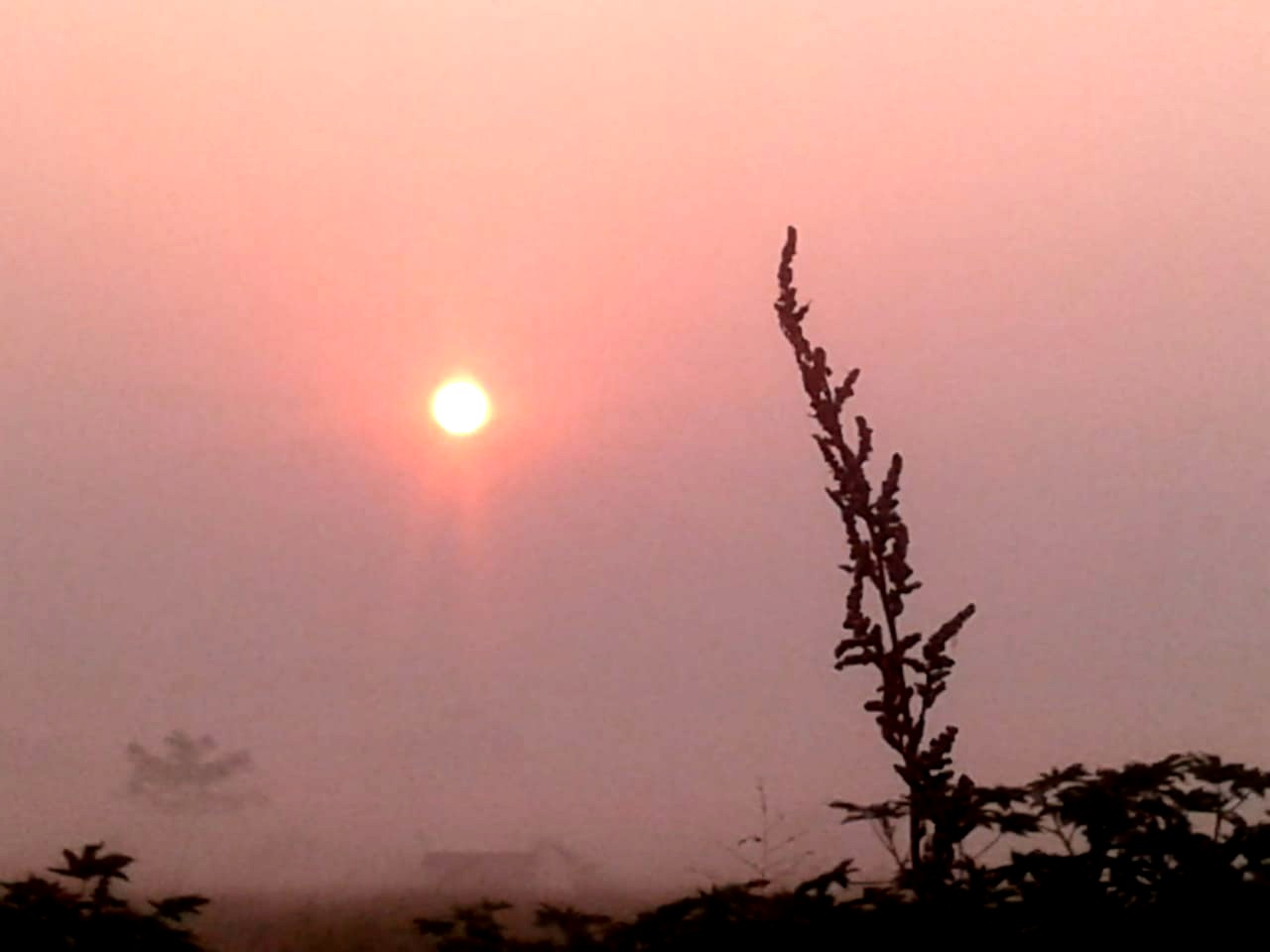 IMG-20211111-WA0011.jpg
