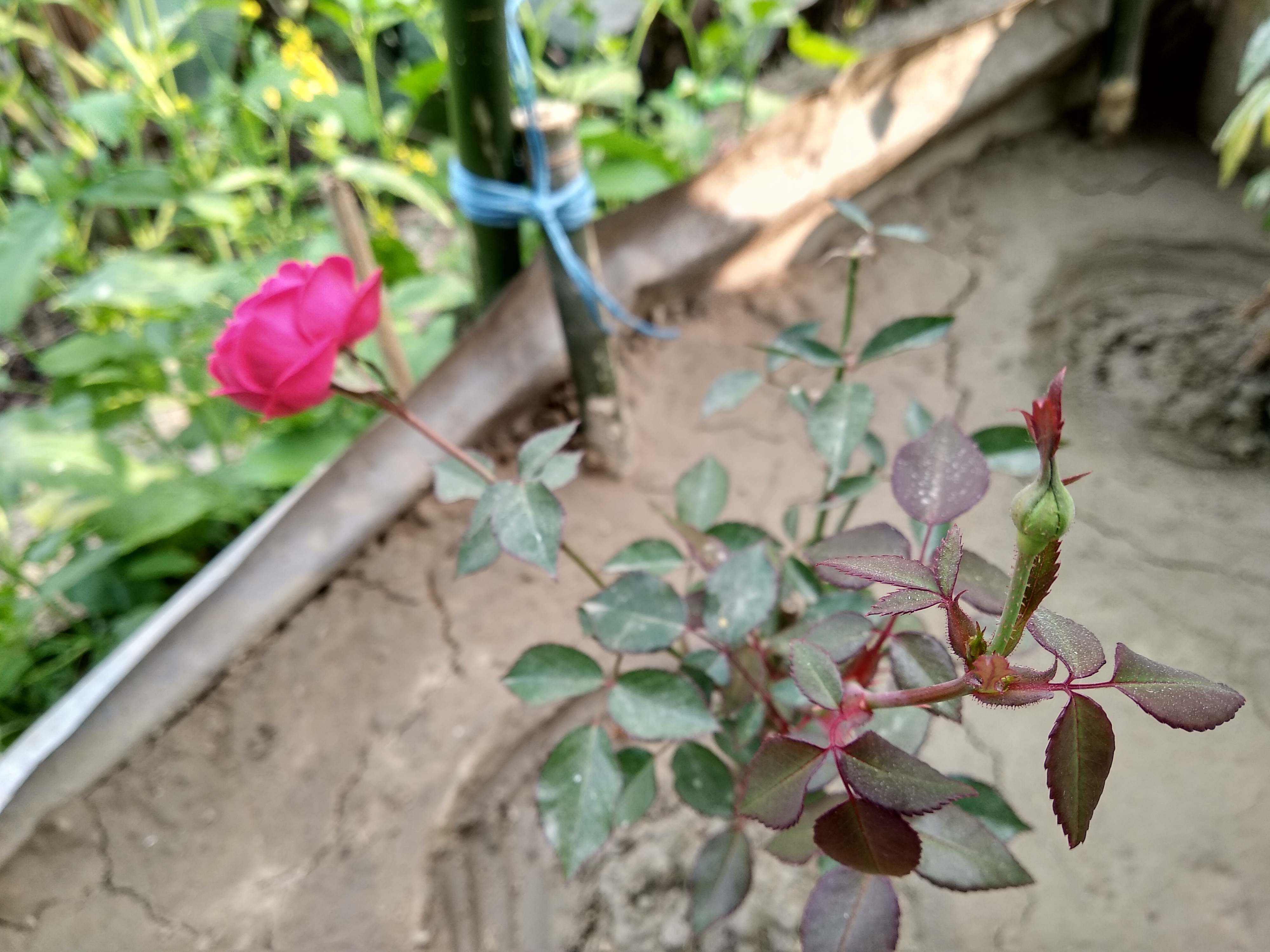 IMG_20190104_140948_HDR.jpg