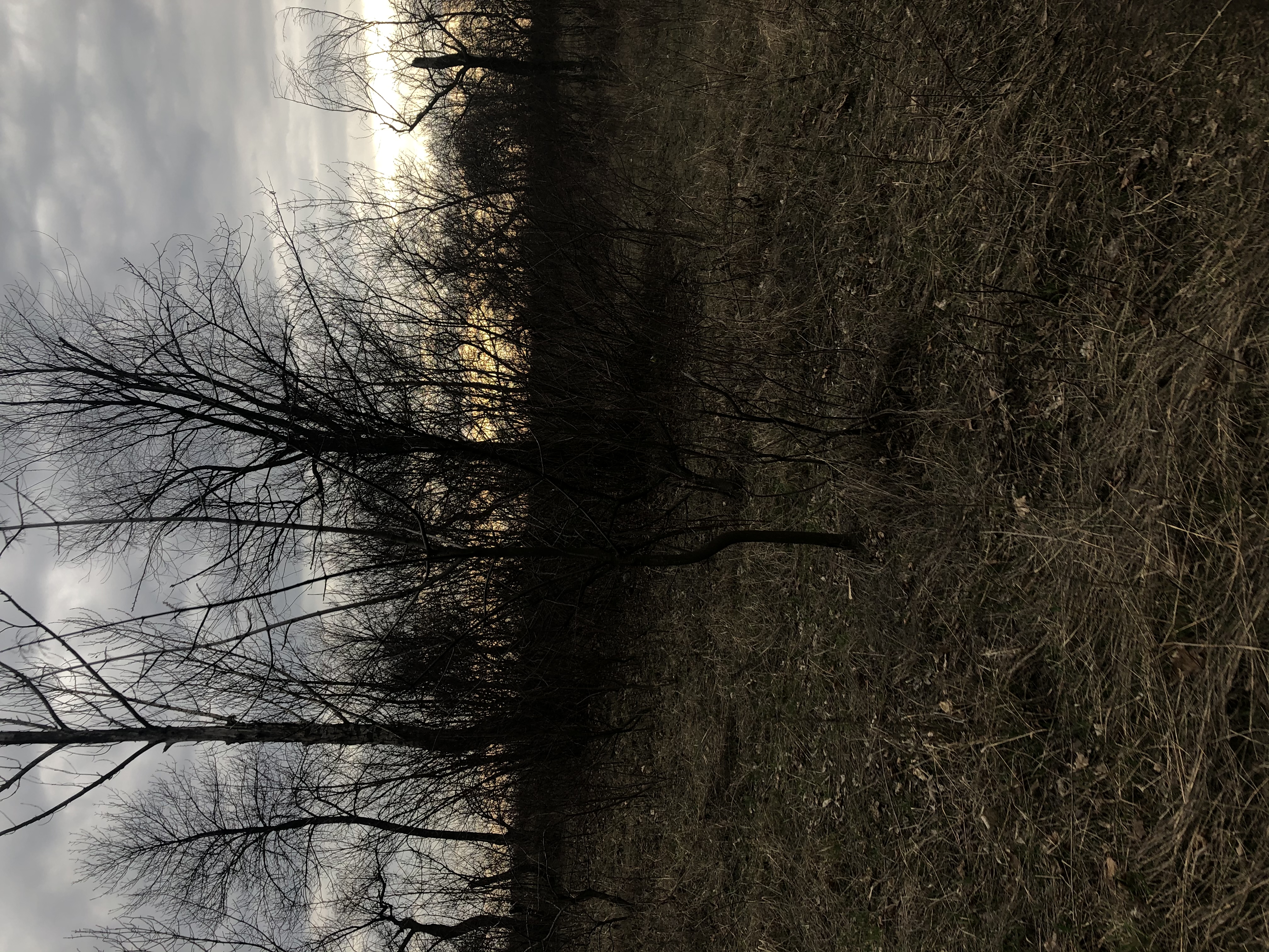 26DBC205-A517-4114-A0DD-F0A5B85D319D.jpeg