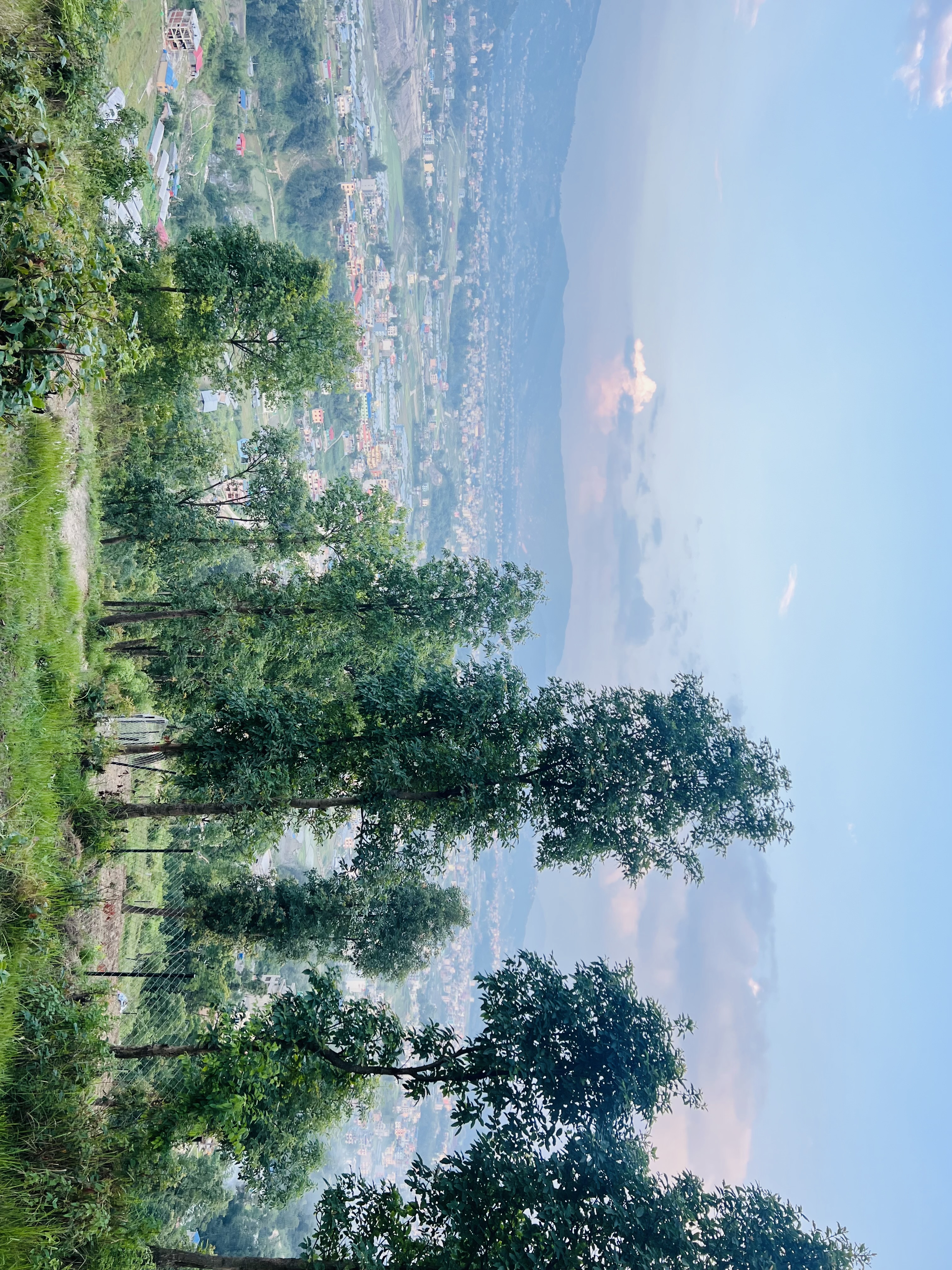 IMG_2017.jpeg