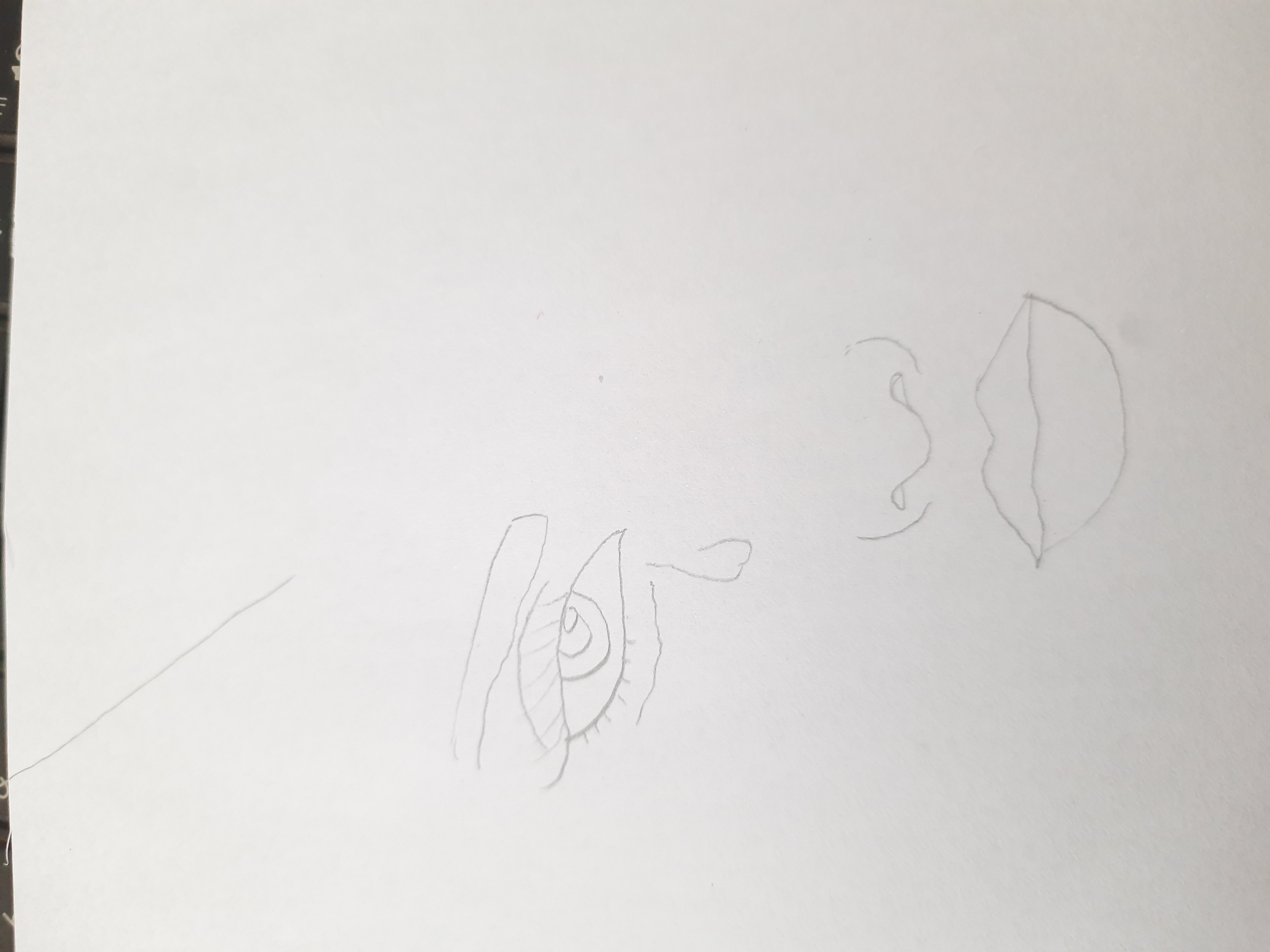 20260716_104442.jpg