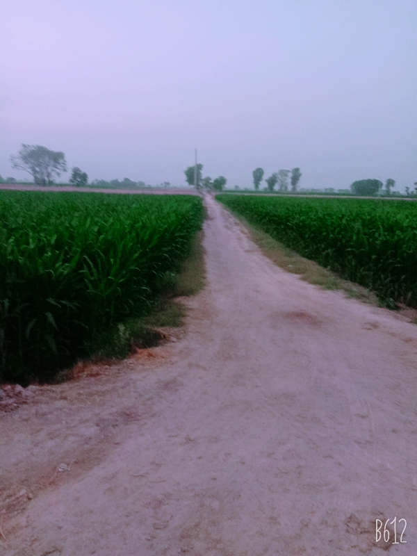 B612_20210411_183808_895.jpg