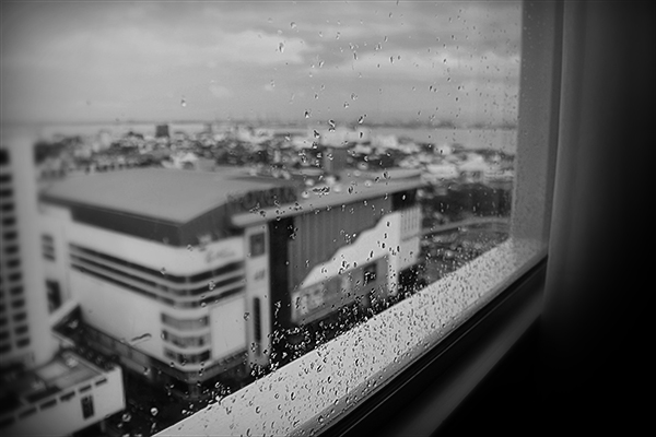 Window02-S.jpg