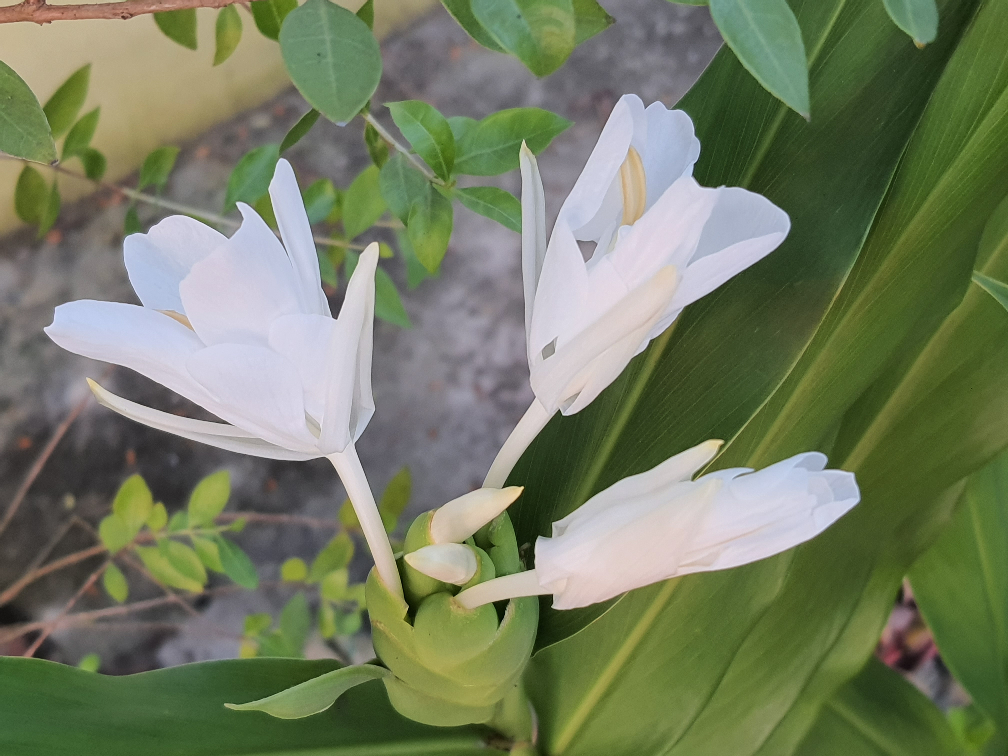 20201008_173040.jpg